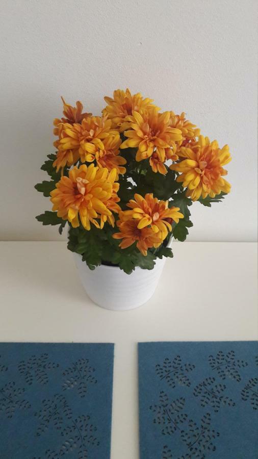 Studio In Helsinki City Center公寓 外观 照片